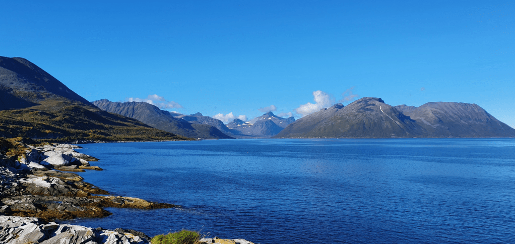 Geitvika og Sigerfjord